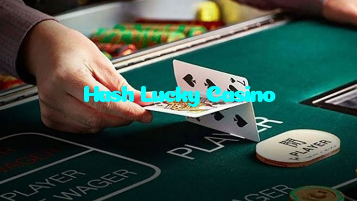 available types of Hash Lucky Casino bet including pre-match live express and system bets